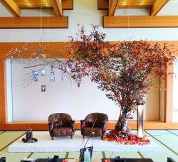 愛知県名古屋市西区の花屋　小川屋園芸