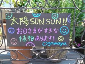 黒板設置してます♪｜「小川屋園芸」　（愛知県名古屋市西区の花キューピット加盟店 花屋）のブログ