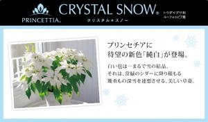 ind_pic_crystalsnow