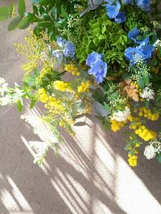春の陽射し｜「小川屋園芸」　（愛知県名古屋市西区の花キューピット加盟店 花屋）のブログ