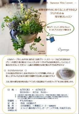 ｜「小川屋園芸」　（愛知県名古屋市西区の花キューピット加盟店 花屋）のブログ